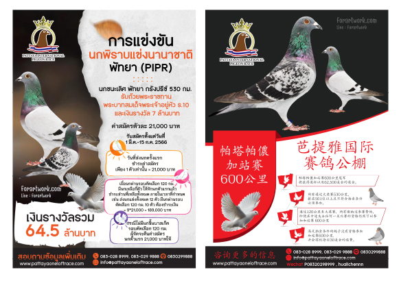 โบรชัวร์แผ่นพับ